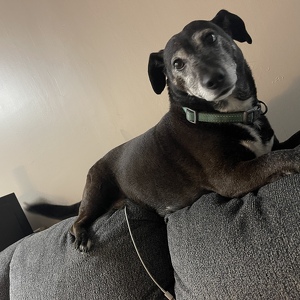 Fundraising Page: Nichole Duckworth